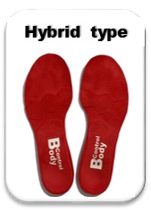 Hybrid type